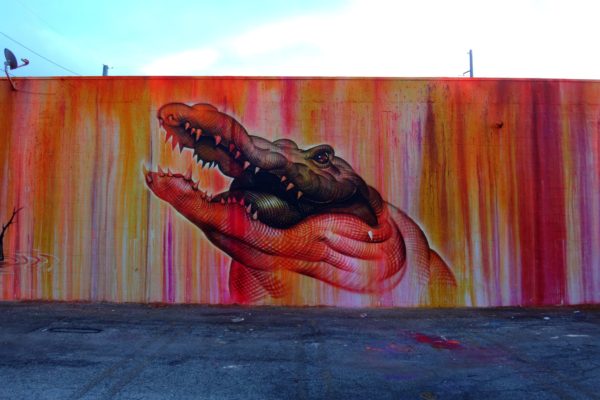 graffiti of a crocodile
